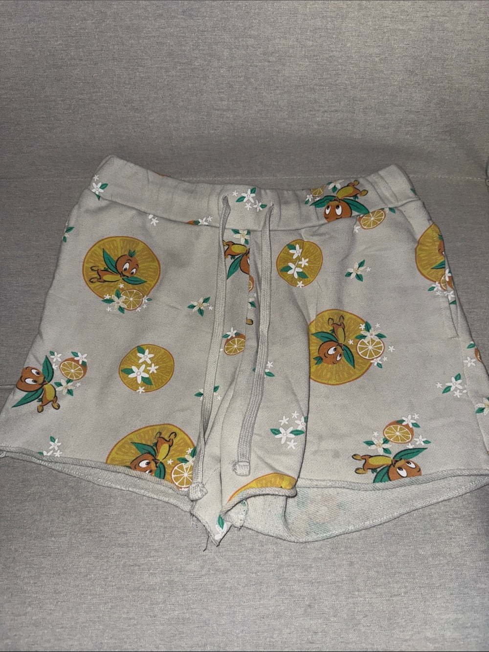 Walt Disney World Orange Bird Shorts